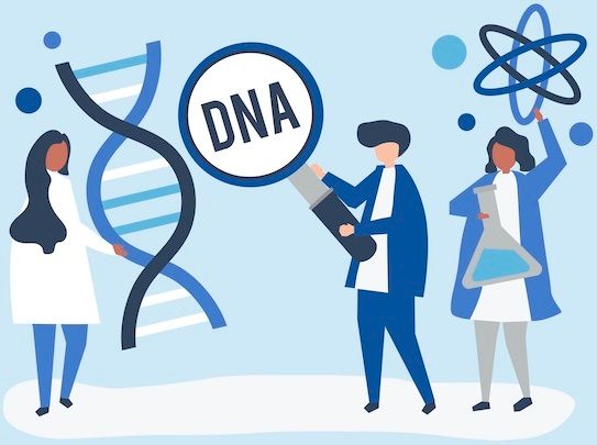 sequencing DNA