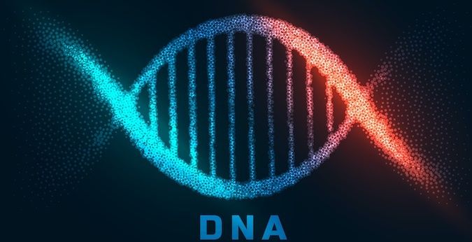 DNA sequencing