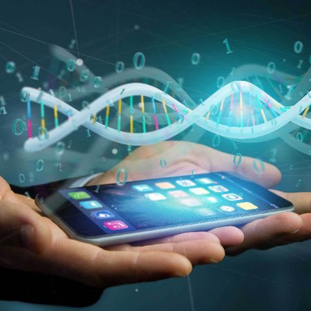 Raw DNA data analysis