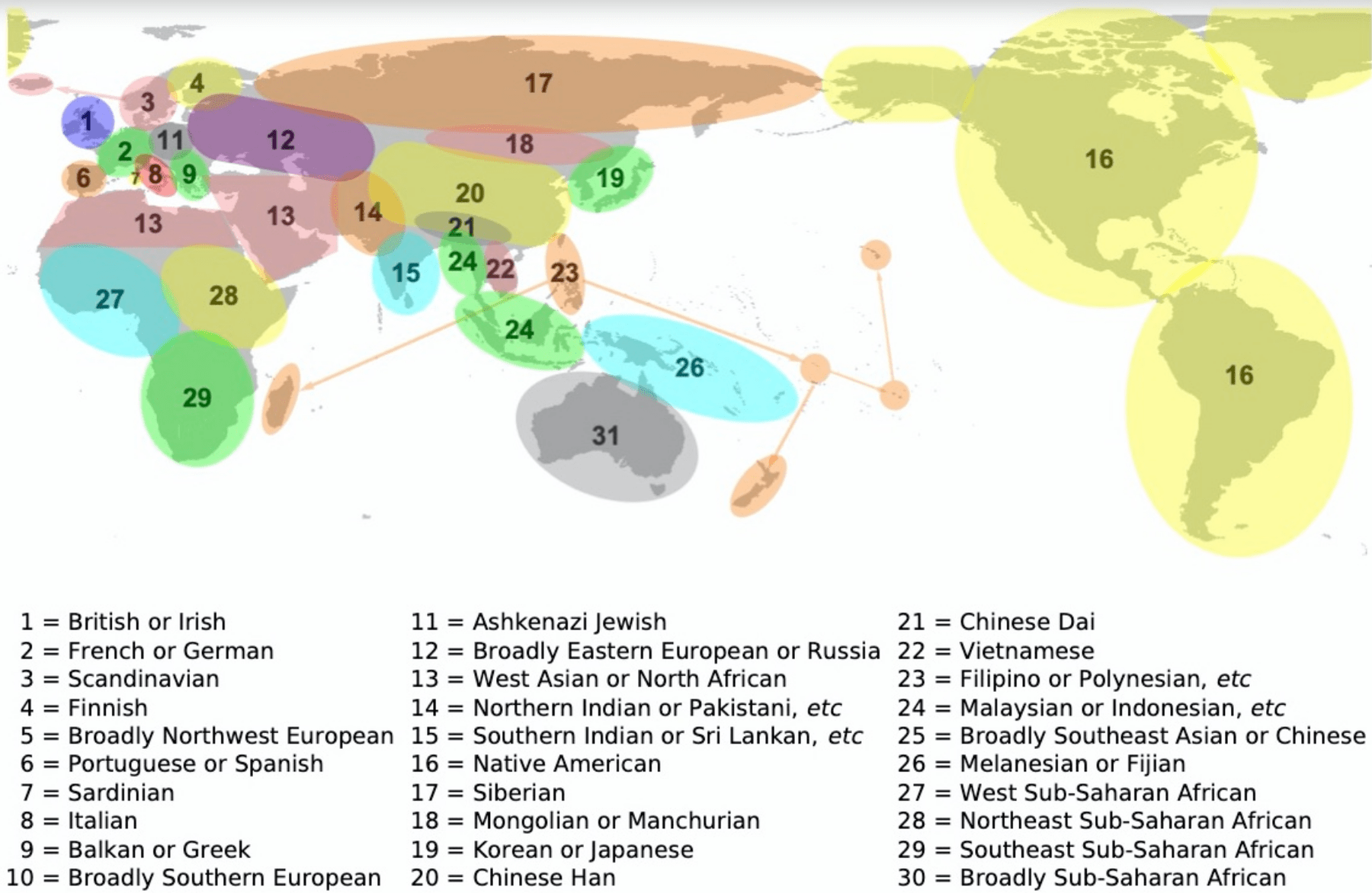 DNA Genetic Ancestry Map