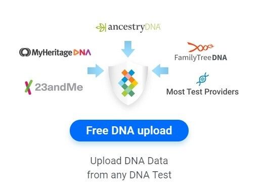 free dna upload